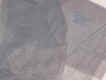 Blue Chiffon (Lavender)