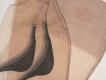 Full Fashion Stockings