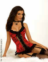 Red_Bustier_80053.jpg (86841 bytes)