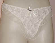 Sheer Nylon Panties
