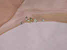 DSCN0471_Alberts_pearls_n_rhinestones_FF_close_up_ankle.jpg (16315 bytes)