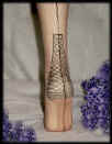Dsc00341_Star_FF_Zebra__Heel.jpg (18747 bytes)